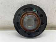 RIEMENSCHEIBE FORD ECOSPORT 1.0 EcoBoost F1FG6316AA