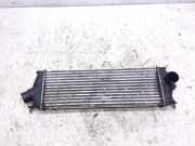 Ladeluftkühler Renault Trafic II Bus (JL) 8200411160C