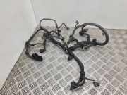 Kabel Motor Opel Signum (Z-C/S)