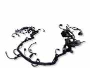 Motor Kabelbaum OPEL ANTARA 2.2 CDTi 95273300
