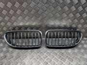 Vorderer oberer Gitter BMW 6 Cabrio (F12) 640 i xDrive 7212849