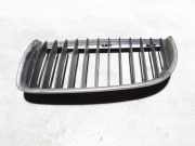 Vorderer oberer Gitter BMW 3 (E90) 320 d 7120007