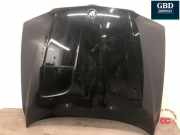 Motorhaube BMW X3 (E83) 41003449411