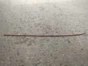 Dachleiste links VW PASSAT B5 (3B3) 1.9 TDI