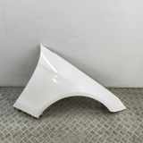 Kotflügel vorne rechts