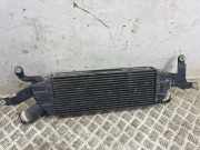 Ladeluftkühler CITROËN C-CROSSER (EP_) 2.2 HDi