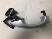 Türaußengriff hinten links VW GOLF VII Variant (BA5, BV5) 2.0 GTD