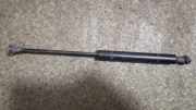 Gasfeder für Motorhaube BMW 5er (E39) 51238174866