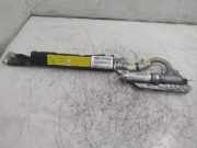 SRS Modul Dach links BMW X5 (E53) 3.0 d A17078479061