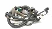 Kabel Tür Renault Koleos II (HC) 241255881R
