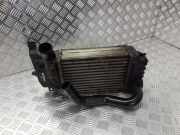 Ladeluftkühler Toyota Yaris (P1) JD1270000620