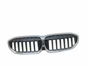 Kühlergrill komplett BMW 3er (G20, G28, G80) 19297610
