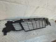 Kühlergrill unten Renault Megane III Schrägheck (BZ) 62254002R