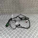 Türverkabelung hinten links