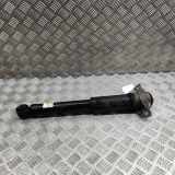 Stoßdämpfer hinten rechts LEXUS UX (_AA1_, _AH1_, _MA1_) 250h (MZAH10) 48530-76180