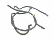 Düsenkörper Maserati Quattroporte V ()