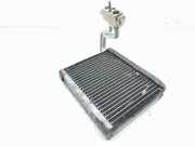 Kühler Land Rover Range Rover Evoque I (L538) P14964