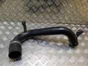 Andere Röhren NISSAN NP300 NAVARA (D40) 2.5 dCi 4WD