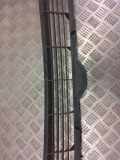 Gitter vorne unten TESLA MODEL 3 EV 151684800a