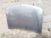 Motorhaube RENAULT LAGUNA III (BT0/1) 2.0 dCi (BT08, BT0K, BT0J, BT14, BT1A, BT1D)