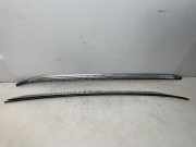 Dachreling links BMW X5 (E70)