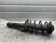 Stoßdämpfer vorne links VW GOLF V (1K1) 1.9 TDI 1K0412381A