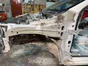 Viertelfeld vorne links NISSAN QASHQAI II (J11, J11_) 1.6 dCi
