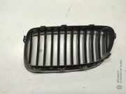 Vorderer oberer Gitter BMW 5 Touring (F11) 525 d