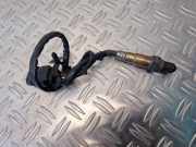 Lambdasonde VW Passat B6 (3C2) 03L906262B