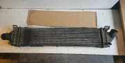 Ladeluftkühler FORD MONDEO IV Sedan (BA7) 2.0 880291U