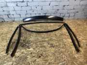 Zierleiste Windschutzscheibe Frontscheibe MERCEDES-BENZ CLK Cabrio (A209) CLK 280 (209.454) A2096700722