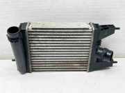 Ladeluftkühler NISSAN PULSAR Hatchback (C13) 1.2 DIG-T 144613ZU1B 1013S30523