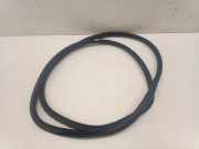 Türgummi links vorne Opel Insignia A (G09)