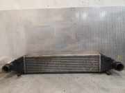 Ladeluftkühler Mercedes-Benz C-Klasse (W204) 2045000300