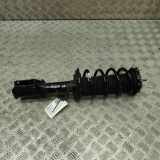 Stoßdämpfer vorne links FORD PUMA (J2K, CF7) 1.0 EcoBoost mHEV L1TC-18K001-LD