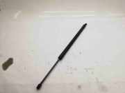 Heckklappendämpfer links VW Transporter T5 Multivan () 7H0827550