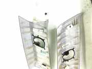 Dachsäule BMW X5 (E70) 7129749