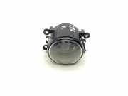 Nebelscheinwerfer links CITROËN C5 II (RC_) 2.0 16V (RCRFJB, RCRFJC) 9650001680