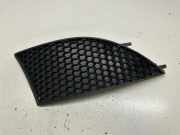 Kühlergrill unten Seat Toledo III (5P) 5P0853666