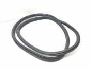 Türdichtung BMW X3 (F25)