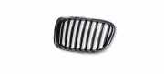 Gitter Grill vorne links BMW 5 Gran Turismo (F07) 535 i xDrive 7336483
