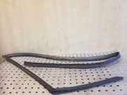 Türdichtung Audi Q5 (8R)