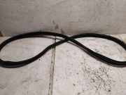 Türdichtungsgummi vorne links BMW 4 Gran Coupe (G26) 430 d Mild-Hybrid xDrive 7482945