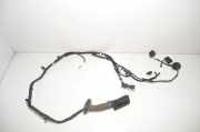 Kabel der vorderen linken Tür BMW X1 (U11) BMW X1 (U11) sDrive 18 i 5A43569 61125A43569