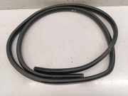 Türdichtung Nissan Qashqai II (J11)