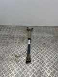 Stoßdämpfer hinten links BMW X1 (F48) xDrive 25 d 22295085