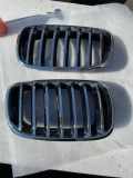 Vorderer oberer Gitter BMW X6 (E71, E72) xDrive 40 d