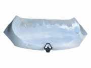 Motorhaube RENAULT MEGANE II (BM0/1_, CM0/1_) 1.5 dCi (BM0F, CM0F) 651220005R