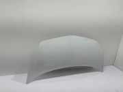 Motorhaube RENAULT KANGOO / GRAND KANGOO (KW0/1_) 1.5 dCi (KW0A) 7751478148