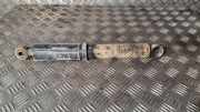 Stoßdämpfer vorne links RENAULT MASTER II Furgon (FD) 2.5 dCi 120 0049622130010